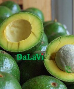 Vietnamese Avocado