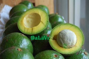 Vietnamese Avocado