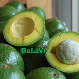 Vietnamese Avocado
