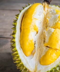 Vietnamese Durian